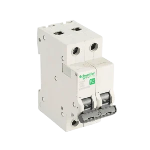 INTERRUPTOR TERMOMAGNETICO 2X50A